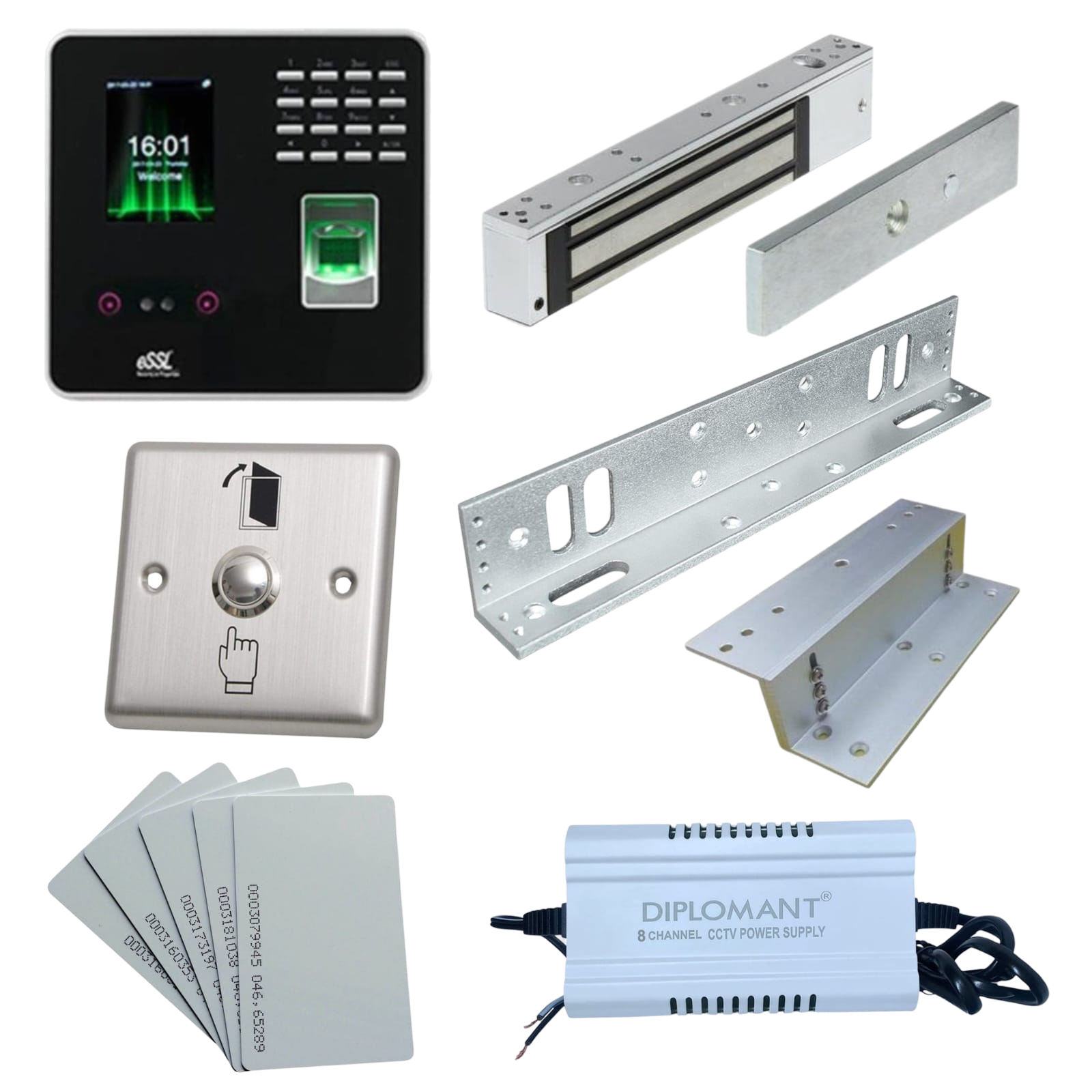 Complete Biometric Door Access Kit